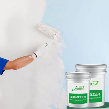 Exterior wall latex paint 