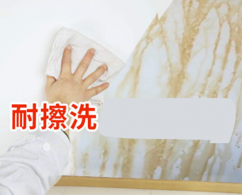 washable wall coating 